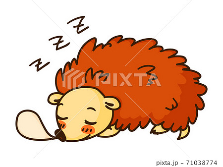 Sleeping hedgehog isolated on white background Sleeping hedgehog isolated on white background 71038774