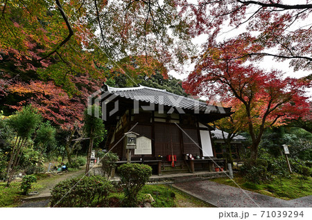 直指庵の紅葉 直指庵の紅葉 71039294