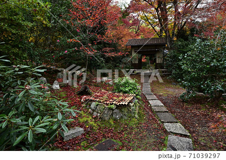 直指庵の紅葉 71039297