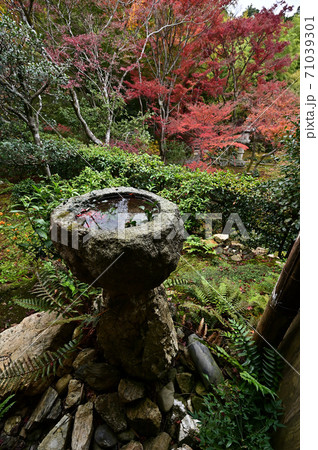 直指庵の紅葉 直指庵の紅葉 71039301