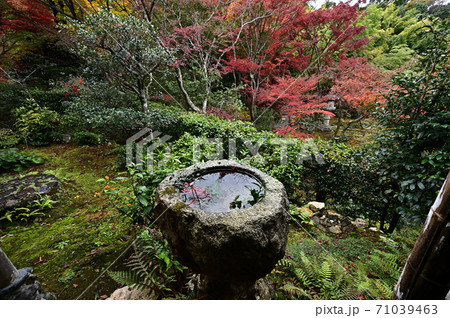 直指庵の紅葉 直指庵の紅葉 71039463