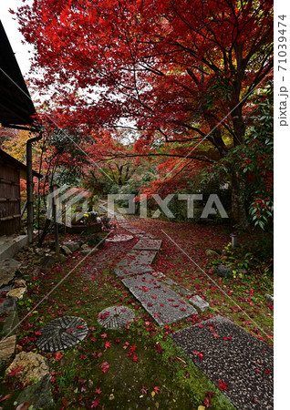 直指庵の紅葉 直指庵の紅葉 71039474