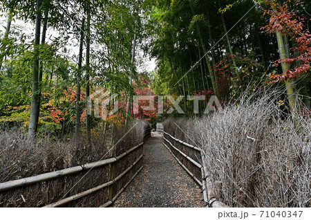 直指庵の紅葉 直指庵の紅葉 71040347