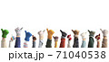 Hands up up in the different mittens. Winter concept.	 71040538