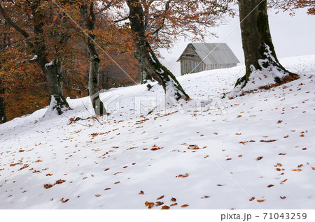 Autumn landscape with the first snow in the mountains Autumn landscape with the first snow in the mountains 71043259