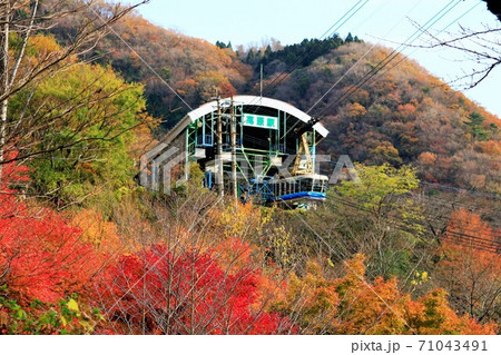 ロープウェイ　秋の風景 71043491