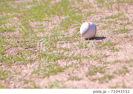 叢の硬式野球ボールの写真素材