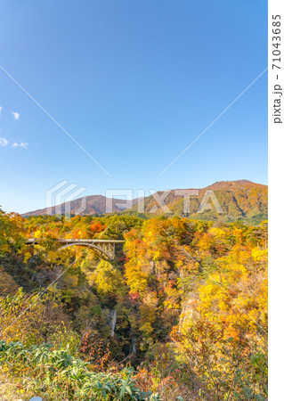 【宮城県】紅葉の鳴子峡 【宮城県】紅葉の鳴子峡 71043685
