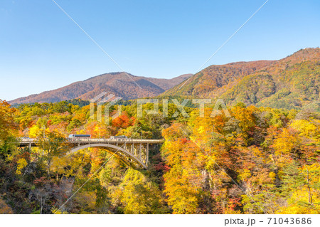 【宮城県】紅葉の鳴子峡 【宮城県】紅葉の鳴子峡 71043686