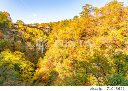 【宮城県】紅葉の鳴子峡 71043691