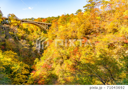 【宮城県】紅葉の鳴子峡 【宮城県】紅葉の鳴子峡 71043692