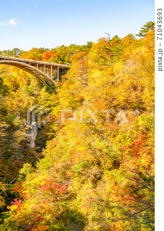 【宮城県】紅葉の鳴子峡 【宮城県】紅葉の鳴子峡 71043693