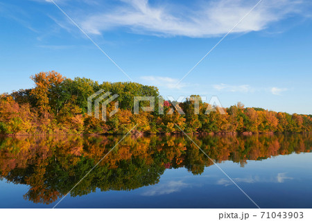 bright colorful autumn forest landscape, trees near river and blue sky 71043903