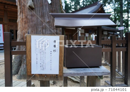 凛とした静寂の信州あずみ野穂高神社(孝養杉) 凛とした静寂の信州あずみ野穂高神社(孝養杉) 71044101
