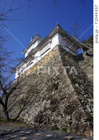 岡山県津山市にあるさくら名所100選のひとつ「鶴山公園(津山城趾)」:備中櫓 岡山県津山市にあるさくら名所100選のひとつ「鶴山公園(津山城趾)」:備中櫓 71044307