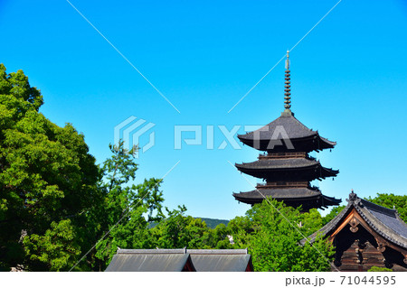 京都 東寺 京都 東寺 71044595
