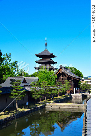 京都 東寺 京都 東寺 71044652