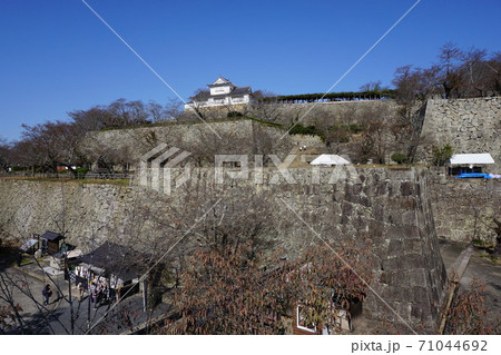 岡山県津山市にあるさくら名所100選のひとつ「鶴山公園(津山城趾)」三の丸から一二三段と備中櫓を見る 岡山県津山市にあるさくら名所100選のひとつ「鶴山公園(津山城趾)」三の丸から一二三段と備中櫓を見る 71044692