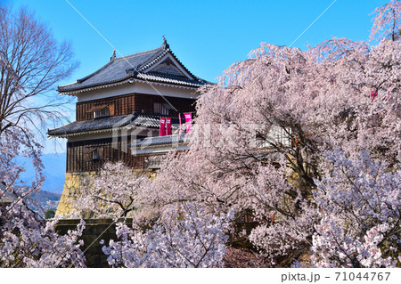 桜景 上田城 南櫓 桜景 上田城 南櫓 71044767