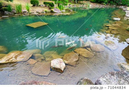 瑠璃光寺の池 瑠璃光寺の池 71044834