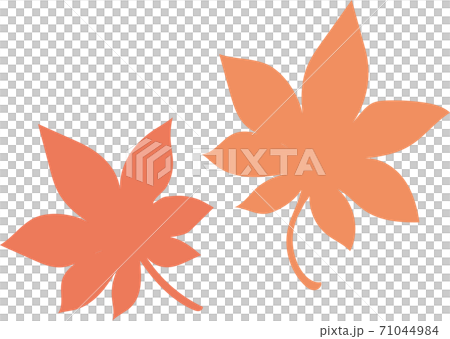 秋天的樹葉 71044984