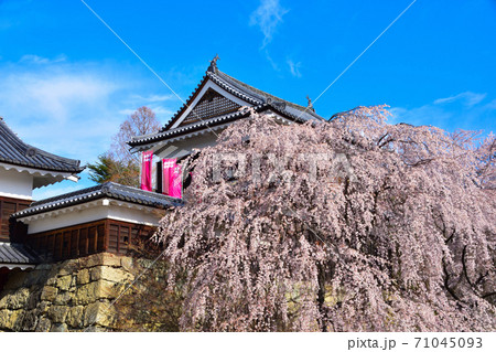 春 上田城 北櫓 春 上田城 北櫓 71045093
