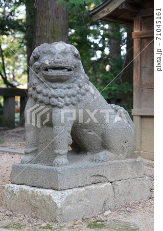 凛とした静寂の信州あずみ野穂高神社(若宮社) 凛とした静寂の信州あずみ野穂高神社(若宮社) 71045161