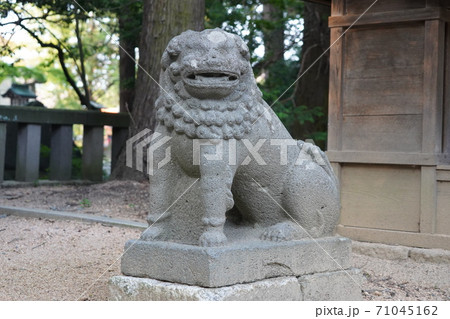 凛とした静寂の信州あずみ野穂高神社(若宮社) 凛とした静寂の信州あずみ野穂高神社(若宮社) 71045162