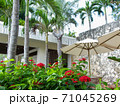 南国の植え込み 71045269