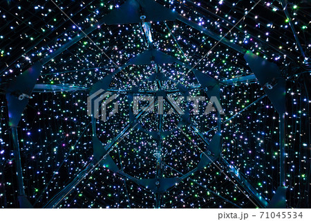 あしかがフラワーパーク イルミネーション あしかがフラワーパーク イルミネーション 71045534