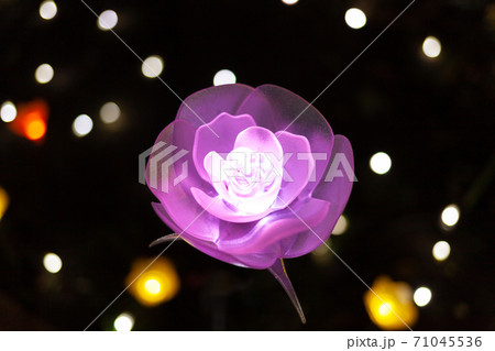 あしかがフラワーパーク　イルミネーション 71045536