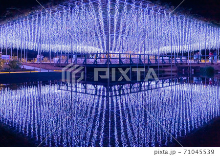あしかがフラワーパーク イルミネーション あしかがフラワーパーク イルミネーション 71045539