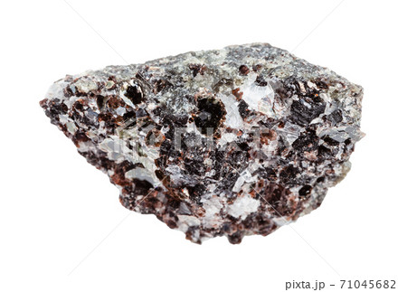 unpolished Phlogopite (magnesium mica) isolated 71045682