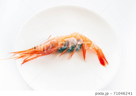 卵を抱いた甘海老 卵を抱いた甘海老 71046241