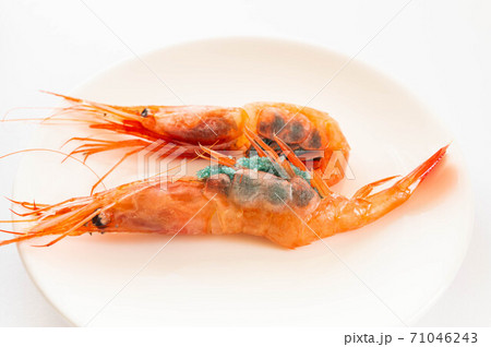 卵を抱いた甘海老 卵を抱いた甘海老 71046243