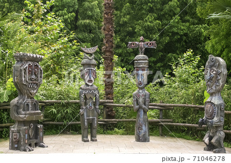 ソウル大公園 自然 生態系 71046278