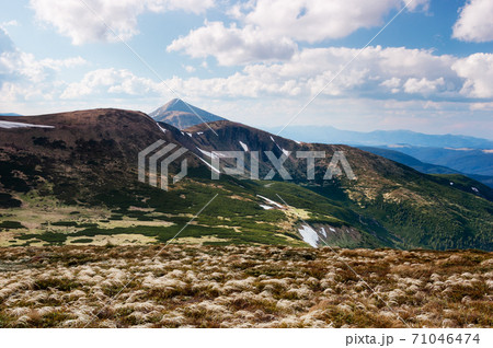 Spring mountain landscape 71046474