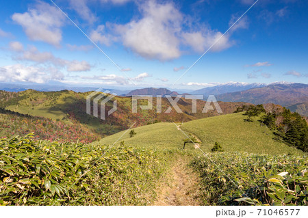 富士見台高原の紅葉の写真素材