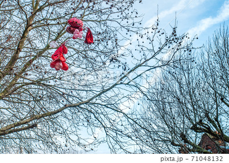 The pink balloon is stuck on the tree. The pink balloon is stuck on the tree. 71048132