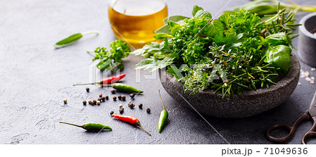 Fresh herbs in stone bowl with olive oil and spices. Grey background. Copy space. Fresh herbs in stone bowl with olive oil and spices. Grey background. Copy space. 71049636