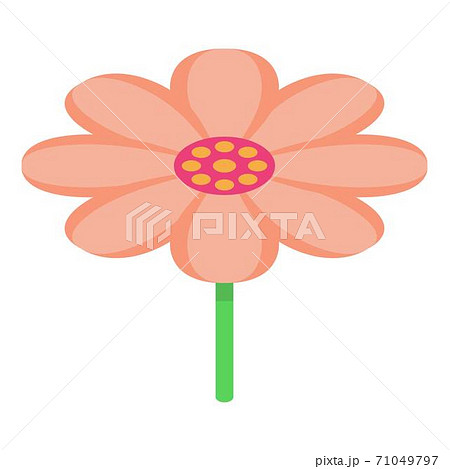 Samurai flower icon, isometric style 71049797