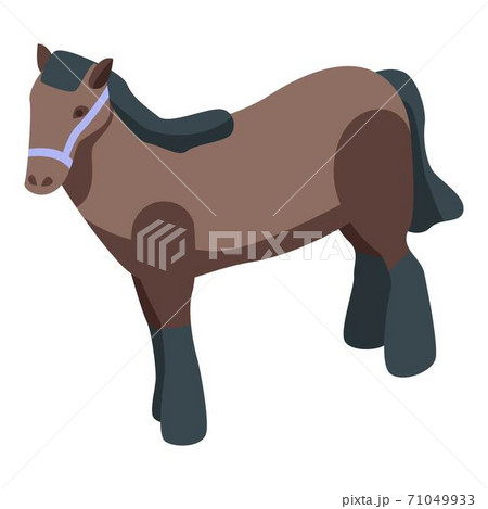 Jockey horse icon, isometric style 71049933