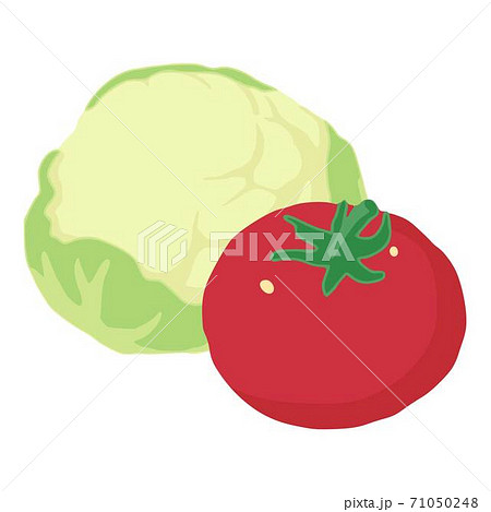 Colorful vegetable icon, isometric style 71050248