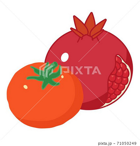 Red food icon, isometric style 71050249