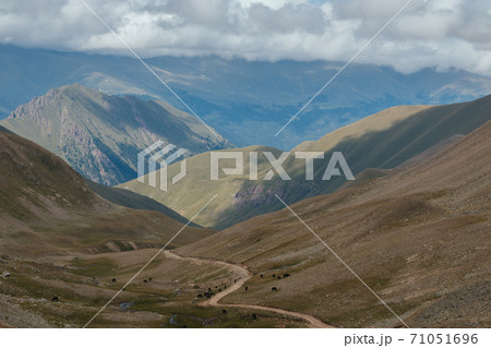 Panorama of road in mountains of national park Dombay, Caucasus Panorama of road in mountains of national park Dombay, Caucasus 71051696