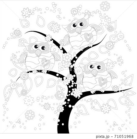 Coloring book for adult and older children. Coloring page with cute owl and floral frame. Outline drawing in zentangle style 71051968