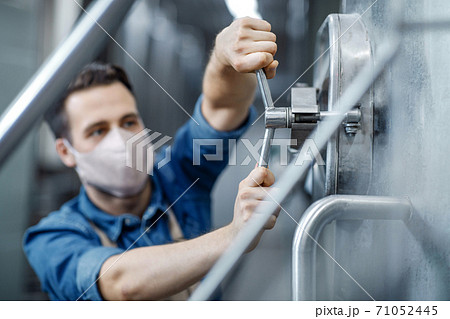 Work in plant of brewery observing process of brewing and fermentation, production of beer Work in plant of brewery observing process of brewing and fermentation, production of beer 71052445
