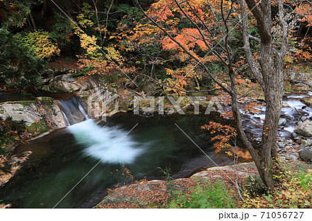 翡翠の滝(紅葉の照葉峡) 翡翠の滝(紅葉の照葉峡) 71056727