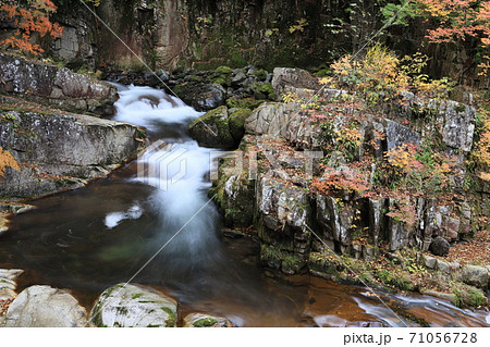 白龍の滝(紅葉の照葉峡) 白龍の滝(紅葉の照葉峡) 71056728