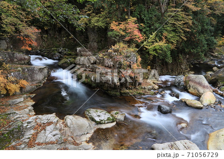 白龍の滝(紅葉の照葉峡) 白龍の滝(紅葉の照葉峡) 71056729